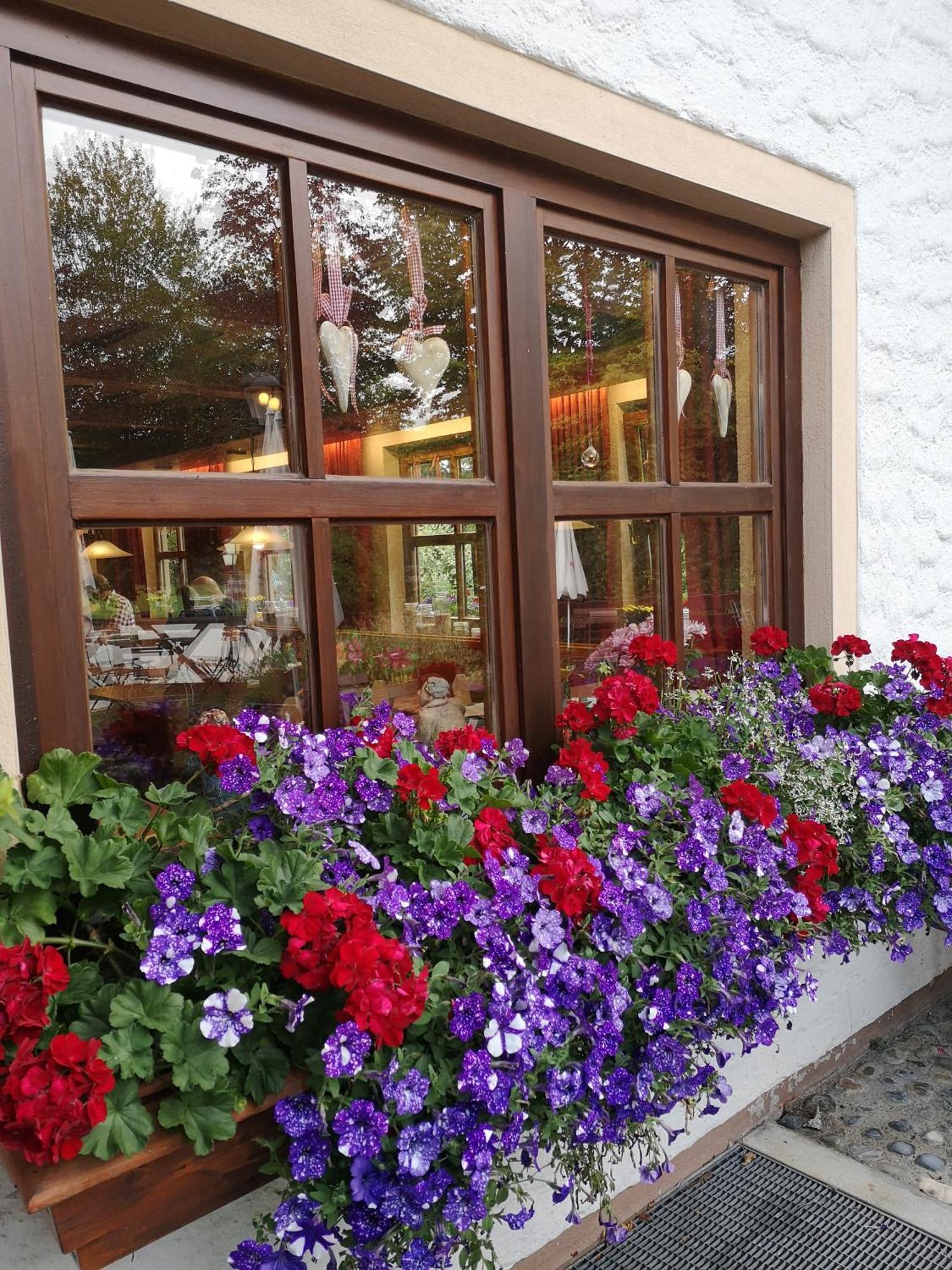 Stahlecker Hof Hotel Lichtenstein  Luaran gambar